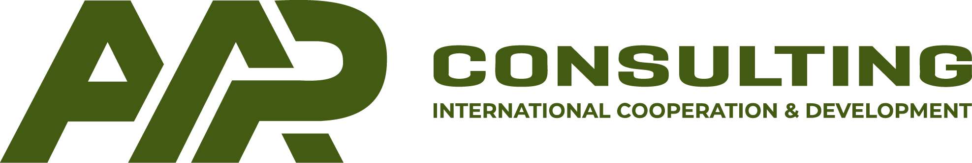 AAP Consulting logo
