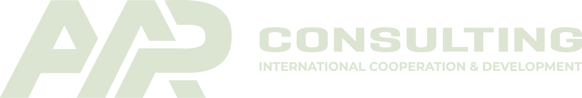 AAP Consulting logo